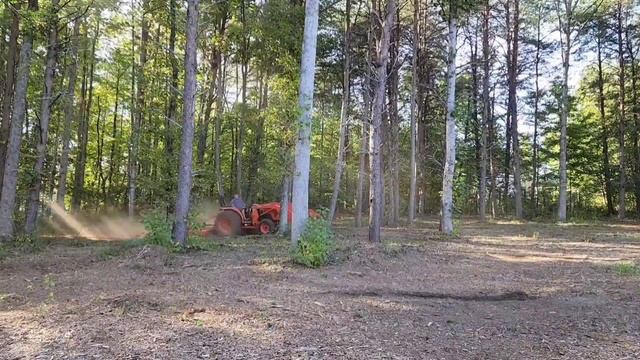 КАК Я СКАШИВАЛ КУСТЫ У СЕБЯ В ЛЕСУ НА ПОВЫШЕННОЙ СКОРОСТИ / США смотреть онлайн