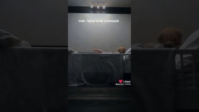 этот котик прыгает по дому!