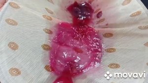 Домашнее ВИНО из ВИНОГРАДА МОЛДОВА к Новогоднему столу!