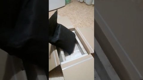 Дендробена червь получено #дендробена #разведение #бизнесснуля