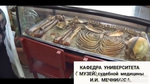 Влад Бахов Еще раз о важном! По таким данным,экспертиза готова уже давно! смотреть онлайн