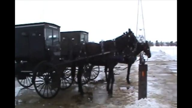 НАША ИНТЕРЕСНАЯ ПОЕЗДКА В ШТАТ ИНДИАНА ЛЕТ 12 НАЗАД  //   АМИШИ НА ЛОШАДЯХ  // США