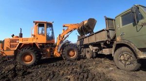 амкодор погрузка навоза   прт 7 камазы самосвалы