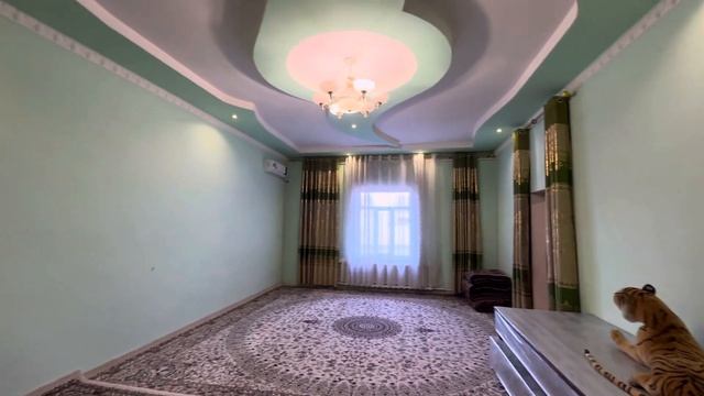 🍎Сотилди🍎Урганч Авир ёнда 1 Каватли 450кв нархи 650млн Иккиламчи Кредит бор ☎️+998.99.965.68.08 смотреть онлайн