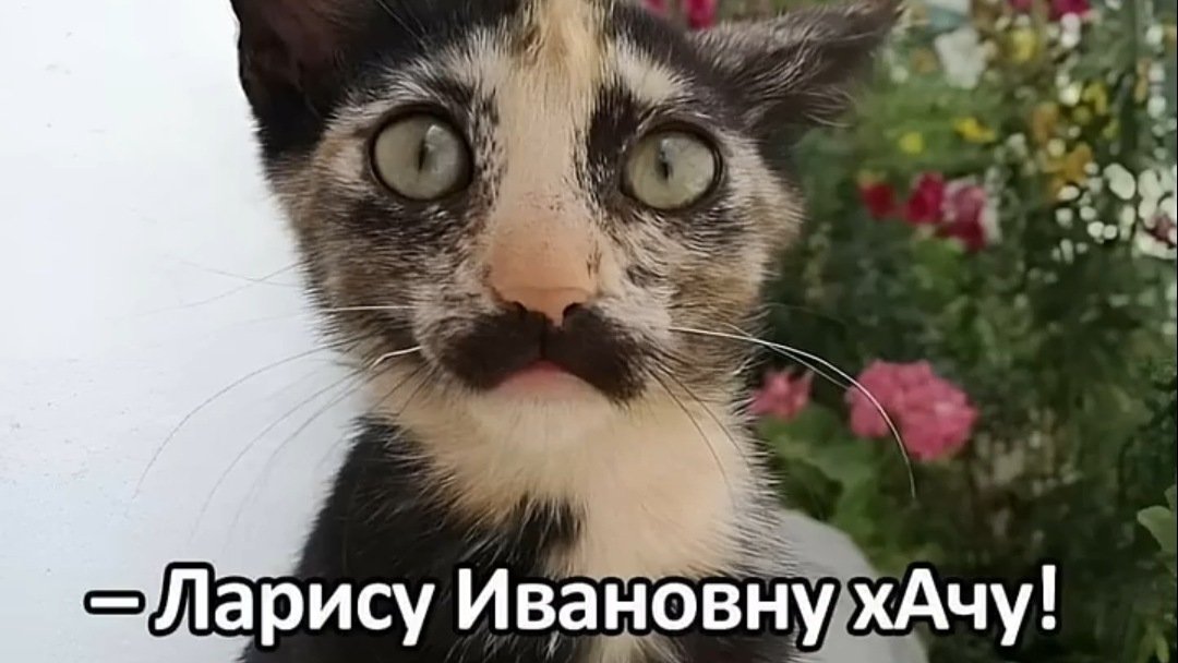 Приколы в слайдах