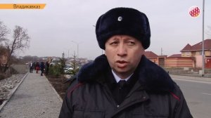 Улицу братьев Темировых украсили 236 саженцев ели