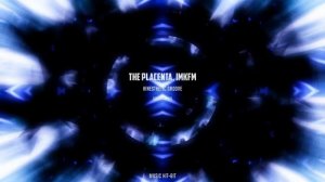 The Placenta IMKFM - Kinesthetic Groove (Original Mix)