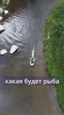 Спиннинг для путешествий! Обзор Nibble Travel от разработчика #norstream #рыбалка #fishing #спиннинг