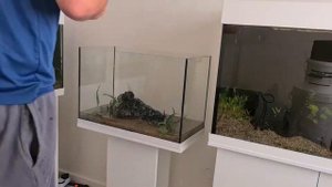 Setting up the Juwel Primo 70. Full tutorial.