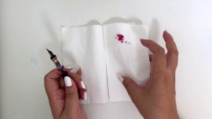 TWSBI Diamond580 Iris Unboxing