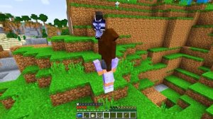 Using HEAT Cameras To CHEAT In Minecraft Hide N' Seek!