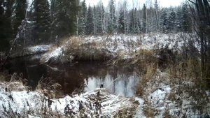 охота.открытие капканного сезона на куницу.затестил новое освещение в избе