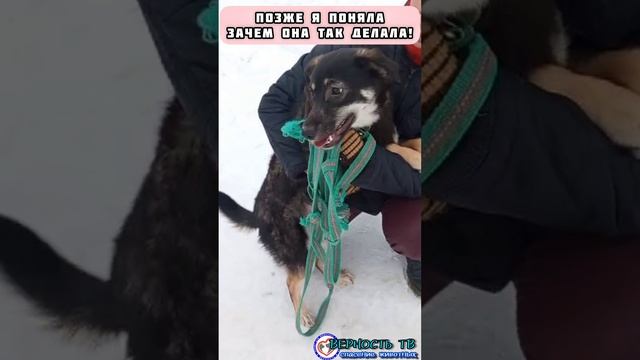 Тефтелька стала домашней благодаря дружной команде верновцев !