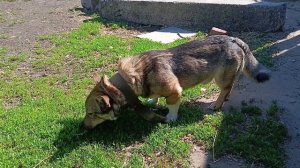 У нас каждый новый день не похож на прошедший.