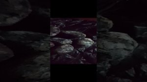 Картофанчик  запечённый на углях ! Ностальгия СССР  вкус детства!!!!;