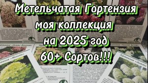 🪴Собираю коллекцию Гортензии эти сорта на 2025 год 60+ сортов🪴