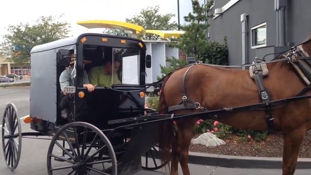 АМИШИ ЗАКАЗЫВАЮТ БУРГЕРЫ / ОБЕД / США смотреть онлайн