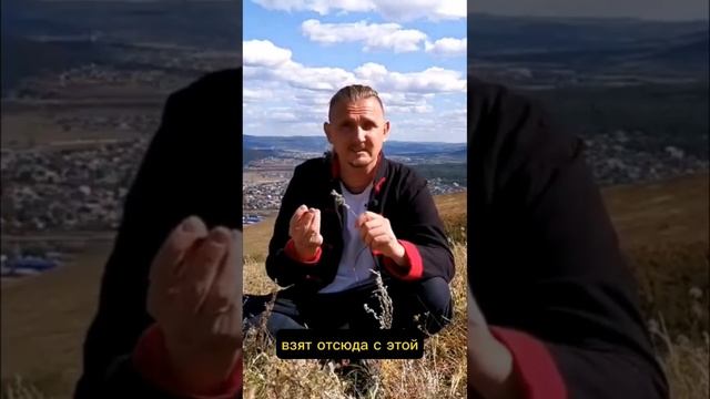 Закон отражения Рода