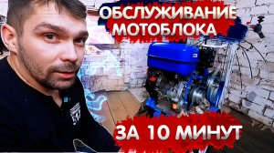 Обслуживание Мотоблока НЕВА за 10 минут своими руками! Замена Масла в редукторе Мульти Агро!