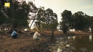 NIKON AF S NIKKOR 85mm F1.4G