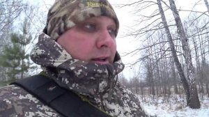Как приучить щенка не бояться садиться в автомобиль.