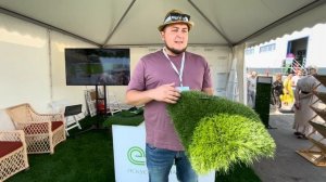 Premium Grass - исскуственный газон для зеленой кровли, футбольных полей, ландшафтных полей