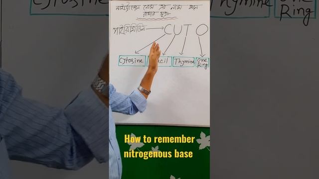 How to remember nitrogenous base | pyrimidine |Infinity Biology