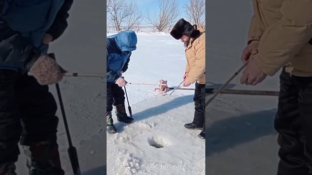 Чем отличается рыбак зимний от рыбака летнего? Поехали на зимнюю ловлю рыбы – карася в нашем озере