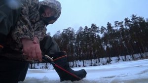 и снова, здравствуйте!