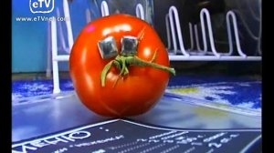 Вкусные истории. 22 выпуск. Блинчики "Неженка"