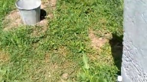 Бетонный/пенобетонный забор. Часть 4.