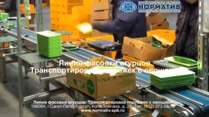 Линия фасовки огурцов - транспортировка подложек с овощами - ООО Норматив