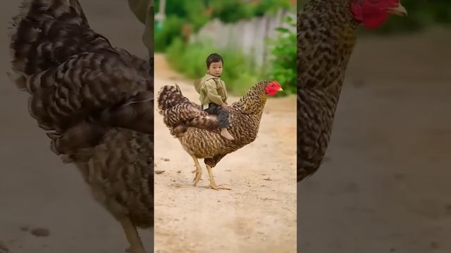 ПОООЕХАЛИИИИ.. смотреть онлайн