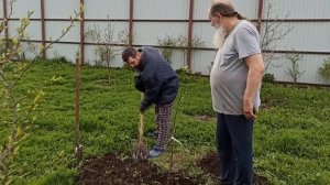 Садовод с Алтая перенимает опыт в разведении сада у отца Владимира Головина на Болгарской земле