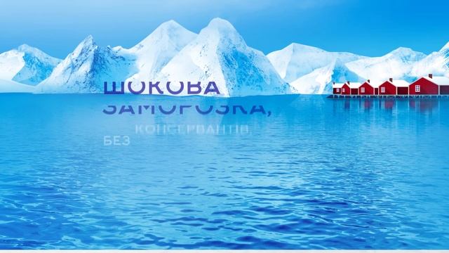 СВІЖОМОРОЖЕНІ ФІЛЕ ЛОСОСЯ, ОКУНЯ, МИНТАЯ, ХЕКА В ПОРЦІЙНОМУ ПАКОВАННІ