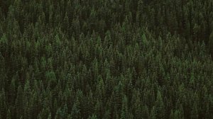 Чего я хочу?