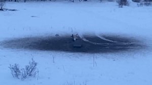 Охота с арбалетом!