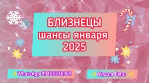 БЛИЗНЕЦЫ - шансы в ЯНВАРЕ 2025 года.