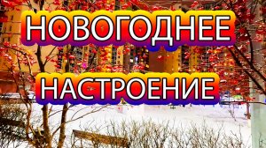 Новогодняя атмосфера во дворе жилищного комплекса