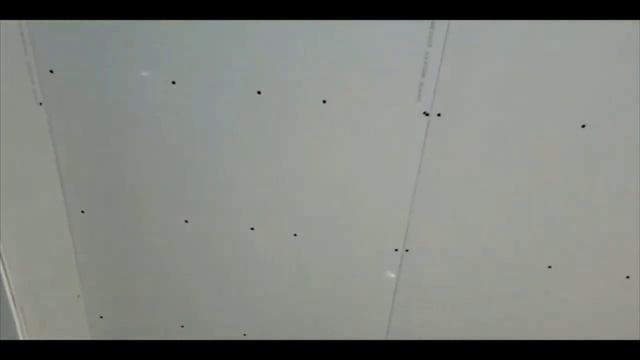 МОЙ ЗЯТЬ МЕКСИКАНЕЦ И ЕГО КОМАНДА / РАБОТЯГИ / США / ЮЖНАЯ КАРОЛИНА смотреть онлайн