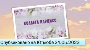 Коллега-нарцисс (24.05.2023)