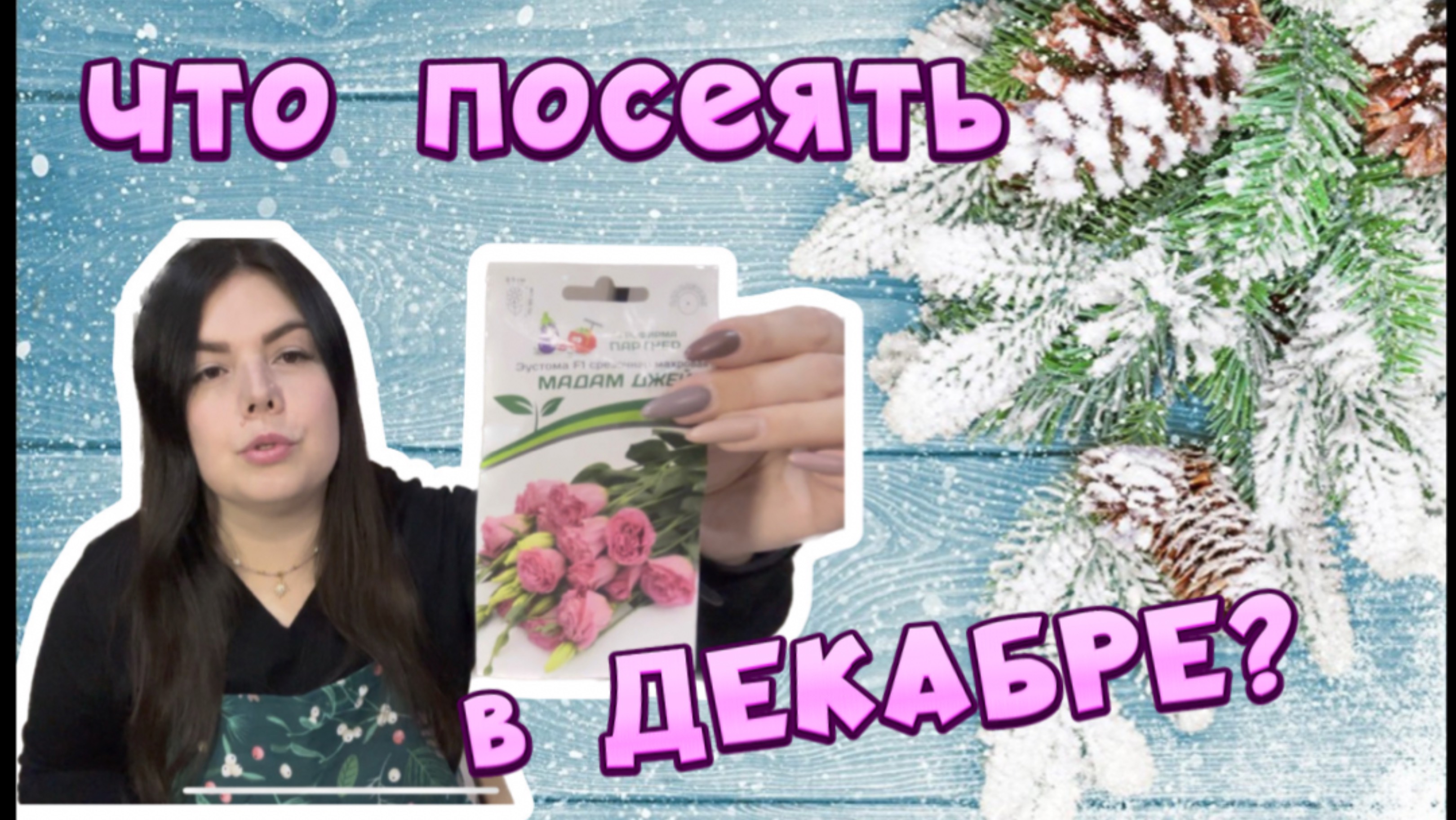 ЧТО ПОСЕЯТЬ В ДЕКАБРЕ? Первые всходы. Сею ЦВЕТЫ. Эустома. Петунии. Ампельная виола .Бегонии