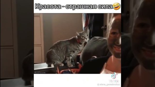 красота - страшная сила / приколы с тик тока