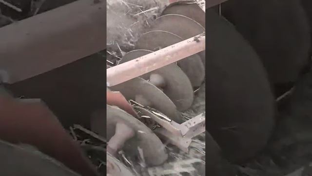 Мотоблок мтз с бдт на обработке поля #трактор #мтз #тренд #мотоблок