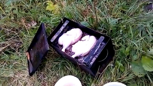 Как я копчу курицу
