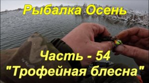 Рыбалка. Осень. Часть - 54. "Трофейная блесна".