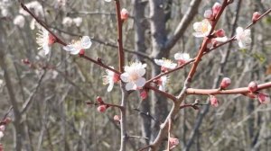 КИСЛОВОДСК: стоит ли ехать, чем заняться, куда сходить, куда из Кисловодска съездить