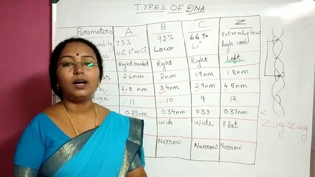 Types of DNA | Molecular basis of Inheritance | Class 12 Biology | NEET Biology