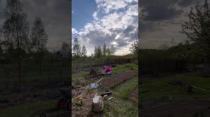 Грядка с сюрпризом  ссылка на мое приложение в описании, видео публикую туда