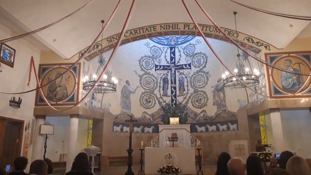 Католический собор Петра и Павла, органный концерт, 23.11.2024 (2)